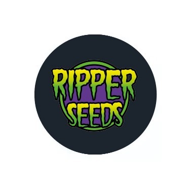 Ripper Seeds Auto
